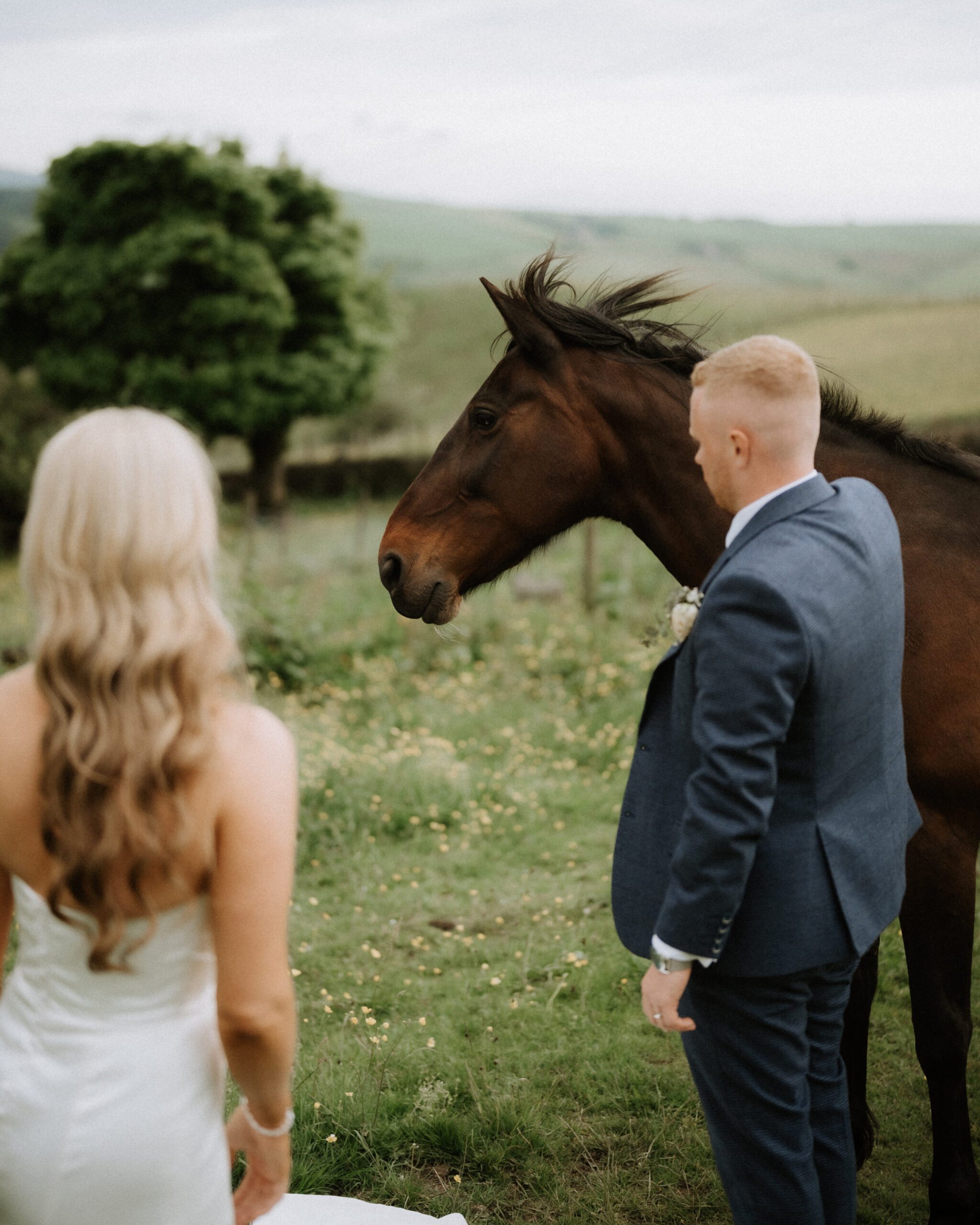 A couple with a horse in a Cotswolds field, countryside wedding photography